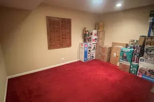 13035 Grande Pines Blvd, Plainfield, IL 60585 - Photo 51