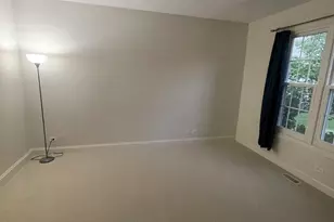 13035 Grande Pines Blvd, Plainfield, IL 60585 - Photo 19