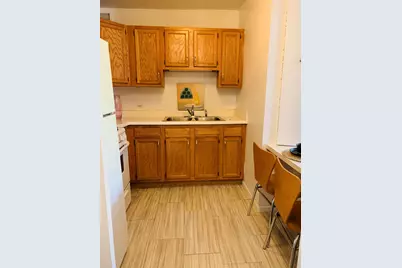 3021 S Michigan Avenue #304, Chicago, IL 60616 - Photo 9