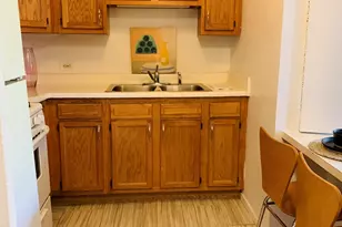 3021 S Michigan Ave, Chicago, IL 60616 - Photo 9