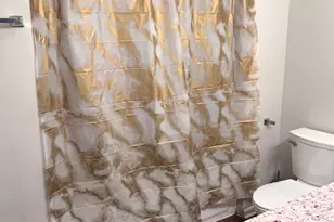 24513 W Stub Ave, Round Lake, IL 60073 - Photo 9