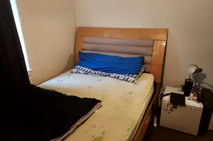 9834 S Oglesby St, Chicago, IL 60617 - Photo 13