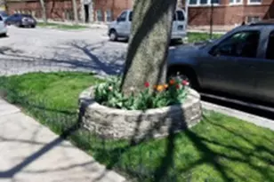 6132 N Paulina St, Chicago, IL 60660 - Photo 15