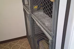 266 12th St, Wheeling, IL 60090 - Photo 13