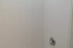 1255 S State St, Chicago, IL 60605 - Photo 11