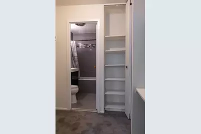 400 E Randolph Street #906, Chicago, IL 60601 - Photo 9