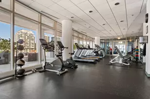 303 W Ohio St, Chicago, IL 60654 - Photo 31