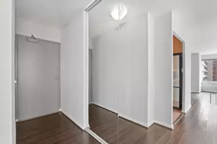 247 E Chestnut St, Chicago, IL 60611 - Photo 7