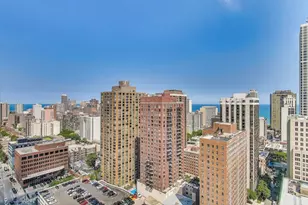 111 W Maple St, Chicago, IL 60610 - Photo 13