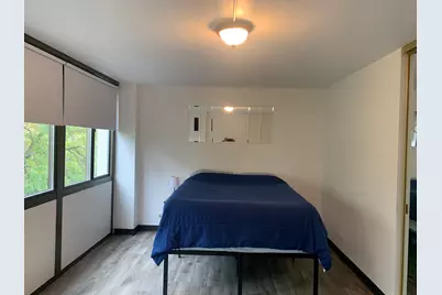 4850 S Lake Park Avenue #412, Chicago, IL 60615 - Photo 27