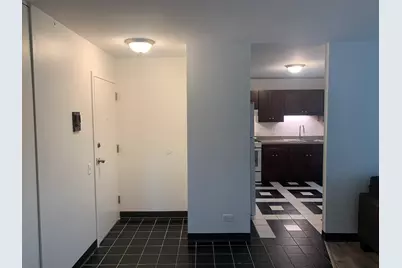 4850 S Lake Park Avenue #412, Chicago, IL 60615 - Photo 3