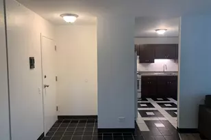 4850 S Lake Park Ave, Chicago, IL 60615 - Photo 3