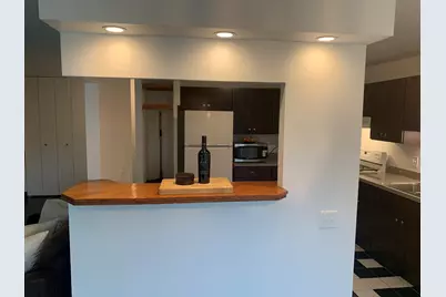 4850 S Lake Park Avenue #412, Chicago, IL 60615 - Photo 11