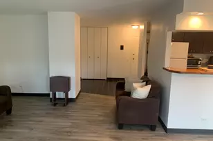 4850 S Lake Park Ave, Chicago, IL 60615 - Photo 15