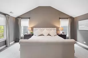 3919 Washington St, Downers Grove, IL 60515 - Photo 17