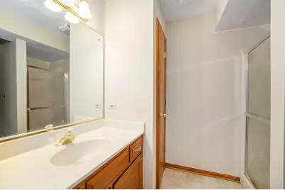 112 Village Woods Drive, Crete, IL 60417 - Photo 17