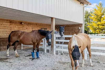 5021 Minkler Road, Yorkville, IL 60560 - Photo 83