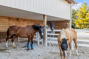 5021 Minkler Rd, Yorkville, IL 60560 - Photo 83