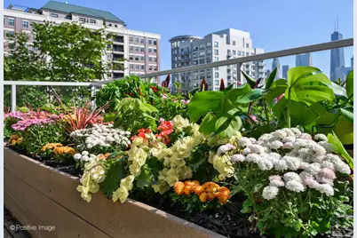 653 N Kingsbury Street #704, Chicago, IL 60654 - Photo 31