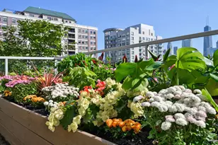 653 N Kingsbury St, Chicago, IL 60654 - Photo 31