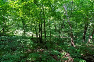 1810 5th St, Winthrop Harbor, IL 60096 - Photo 39