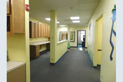 700 W Jefferson Street, Shorewood, IL 60404 - Photo 29