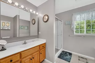 106 N Harbor Landing, Braidwood, IL 60408 - Photo 19