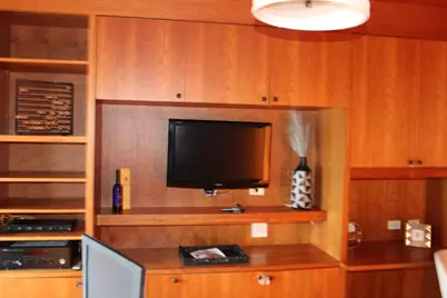 5000 S East End Avenue #24A, Chicago, IL 60615 - Photo 27