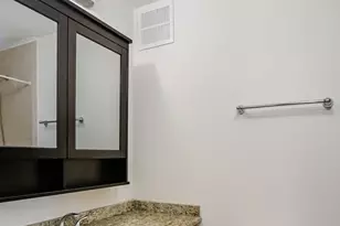 100 E Walton St, Chicago, IL 60611 - Photo 9