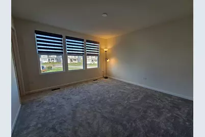 5954 Hawkweed Drive #5954, Naperville, IL 60564 - Photo 15