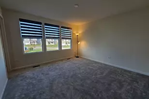 5954 Hawkweed Dr, Naperville, IL 60564 - Photo 15