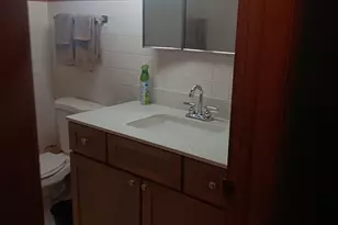 3514 170th Pl, Lansing, IL 60438 - Photo 15