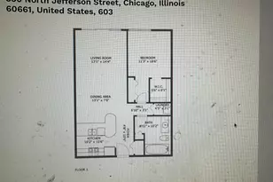 330 N Jefferson St, Chicago, IL 60661 - Photo 37