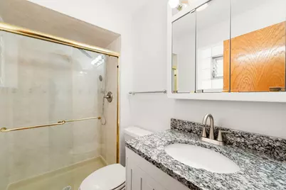 5400 W Dakin Street #1, Chicago, IL 60641 - Photo 15