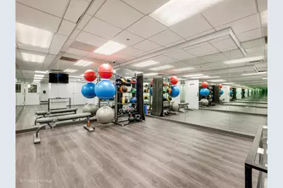 720 W Randolph Street #502, Chicago, IL 60661 - Photo 21