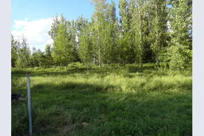 18250 Malvern Road, Morrison, IL 61270 - Photo 29