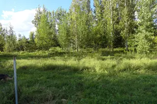 18250 Malvern Rd, Morrison, IL 61270 - Photo 29