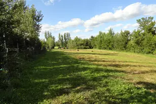 18250 Malvern Rd, Morrison, IL 61270 - Photo 11