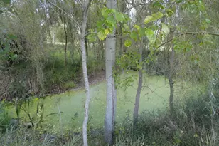 18250 Malvern Rd, Morrison, IL 61270 - Photo 23