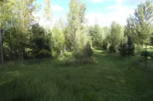 18250 Malvern Rd, Morrison, IL 61270 - Photo 37