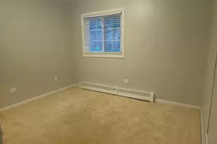 125 W Elk Trail, Carol Stream, IL 60188 - Photo 23