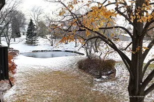 920 Vose Dr, Gurnee, IL 60031 - Photo 19