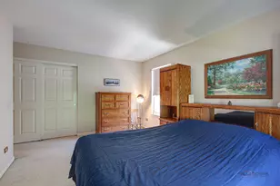 34271 Tangueray Dr, Grayslake, IL 60030 - Photo 29