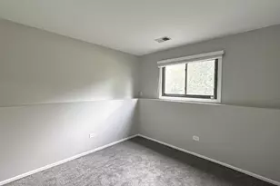 22140 Schaaf Ct, Richton Park, IL 60471 - Photo 11