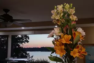 4 Forest Knls, Decatur, IL 62521 - Photo 9