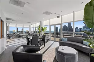 250 E Pearson St, Chicago, IL 60611 - Photo 39