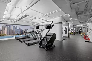 250 E Pearson St, Chicago, IL 60611 - Photo 43