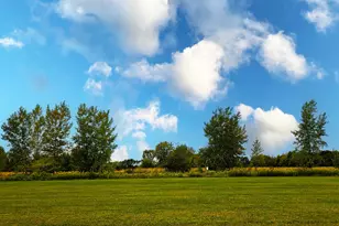 1004 Joshua Ln, Genoa, IL 60135 - Photo 27