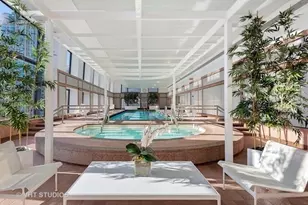 161 E Chicago Ave, Chicago, IL 60611 - Photo 17