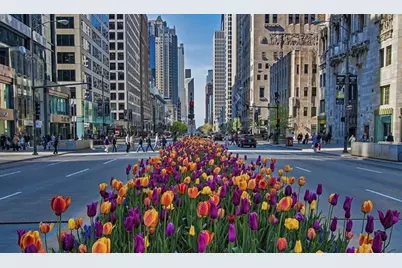 161 E Chicago Avenue #34F, Chicago, IL 60611 - Photo 19